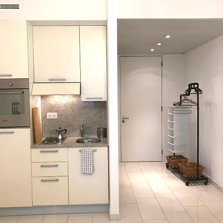 Park Studio With And View