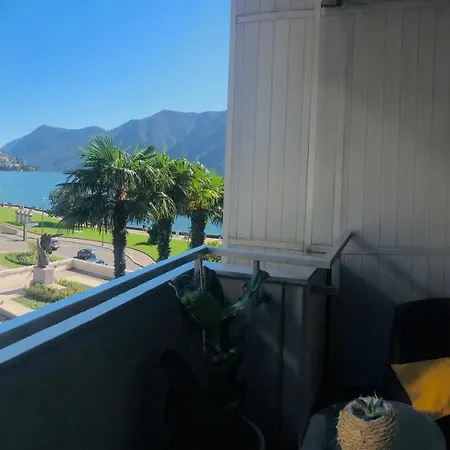 Park Studio With And View *