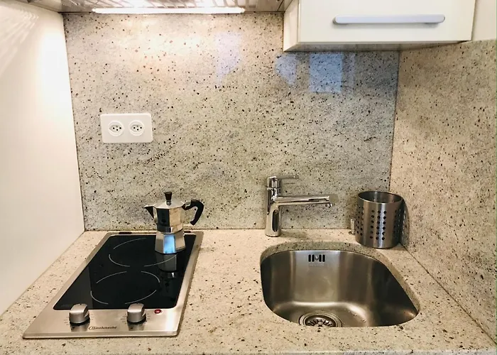 Park Studio With And View *