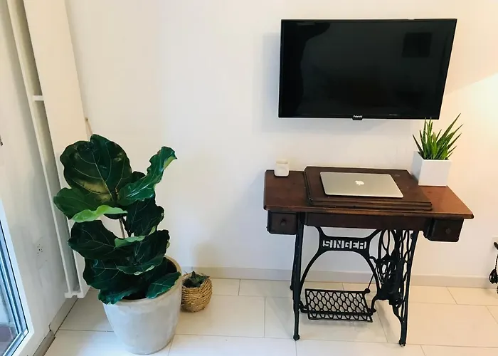 Apartment Park Studio With And View *