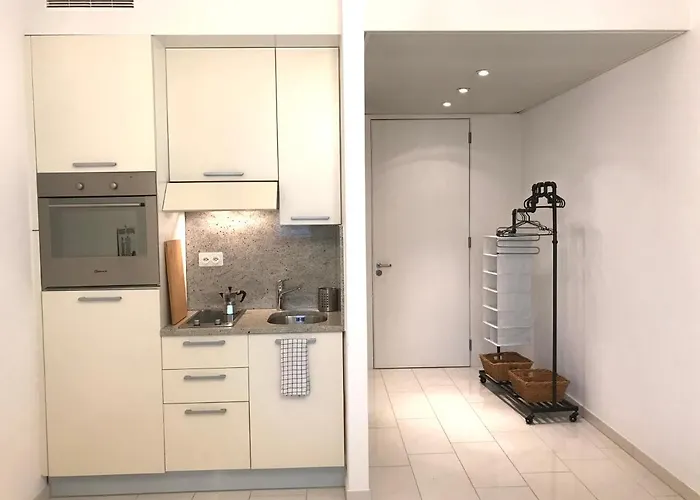 Park Studio With And View